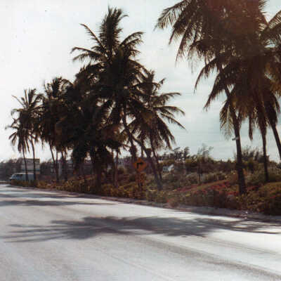 South Roosevelt Boulevard