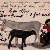 Girl, boy, and two donkeys