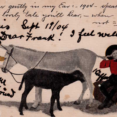 Girl, boy, and two donkeys