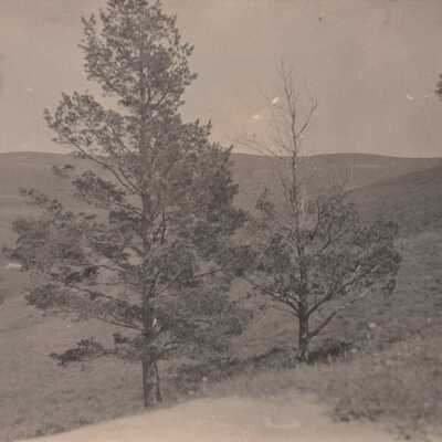 Unknown hills and trees: Copyright: © Key West Art & Historical Society; Origformat: Print-Photographic