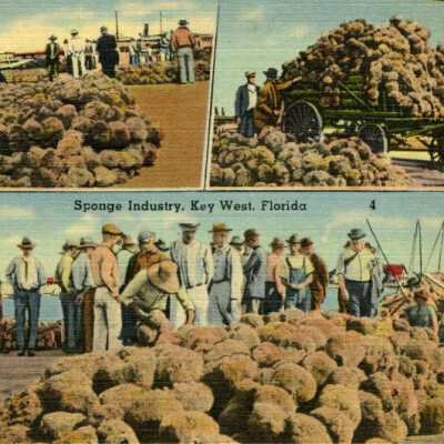 Sponge Industry, Key West: Copyright: @ Key West Art & Historical Society; Origformat: Print-Photographic