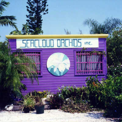 Seacloud Orchids Building