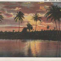 Sunset in Tropical Florida