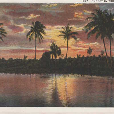 Sunset in Tropical Florida