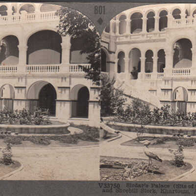 Stereoview of Sirdar's Palace and Shoebill Stork, Khartoum, Sudan