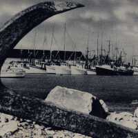 Shrimp Boats, Key West