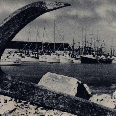 Shrimp Boats, Key West