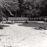 Fenced yard
