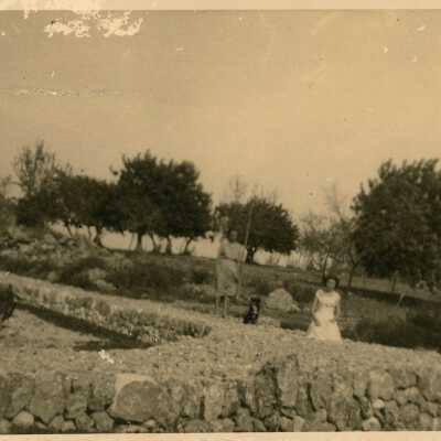 unknown woman with a dog in a yard