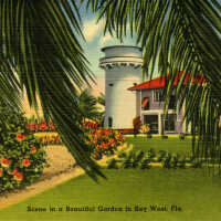 Scene in a Beautiful Garden, Key West