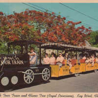 Conch Tour Train and Flame Tree (Royal Poinciana), Key West, Florida