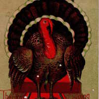 Thanksgiving Greetings