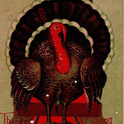 Thanksgiving Greetings