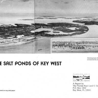 The Salt Ponds of Key West