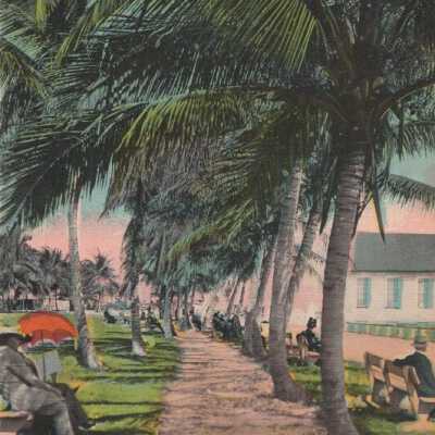 Biscayne Bay and Cocoanut Grove, Miami