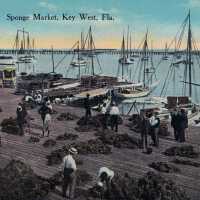 Sponge Market, Key West, Fla.