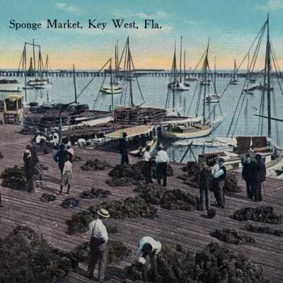Sponge Market, Key West, Fla.