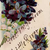 Greetings from Little River, Florida