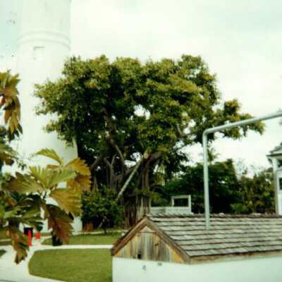 Key West Lighthouse: Copyright: © Key West Art & Historical Society; Origformat: Print-Photographic