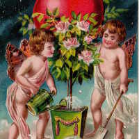 Valentine Greetings