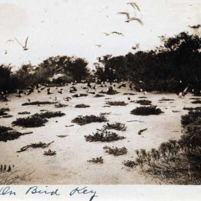 Bird Key, Dry Tortugas: Copyright: © Key West Art & Historical Society; Origformat: Print-Photographic
