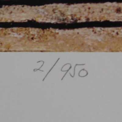 My Old Neighborhood (number)