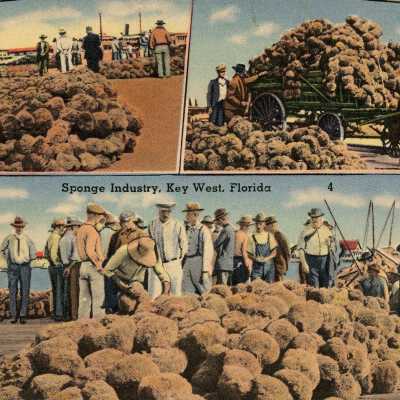 Sponge Industry, Key West, Florida