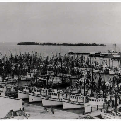 Shrimp Boats in Key West Bight