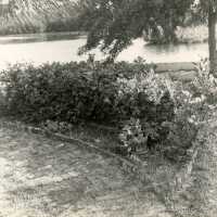 A yard