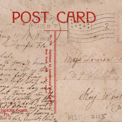 Franklyn Street looking South, Tampa, Florida: © Key West Art & Historical Society