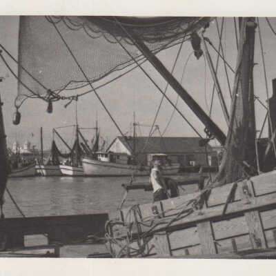 Shrimp boats at dock