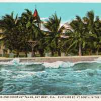 South Beach Homes and Cocoanut Palms, Key West, Fla