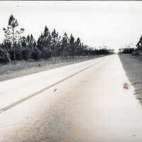 Florida Keys road