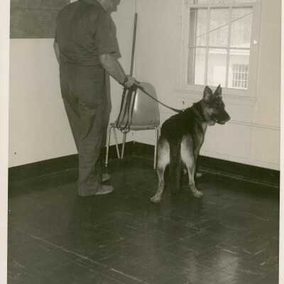 Unknown man with a German shepherd dog