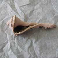 Shell Tool