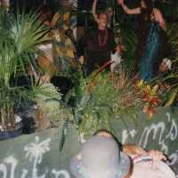 A float in the parade.