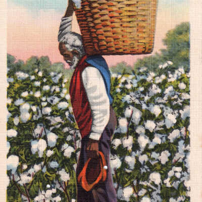 Man carrying a basket of cotton