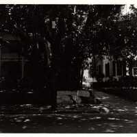          Houses on Whitehead Street; Copyright: © Key West Art & Historical Society; Origformat: Print-Photographic
   