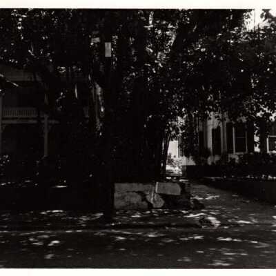 Houses on Whitehead Street: Copyright: © Key West Art & Historical Society; Origformat: Print-Photographic