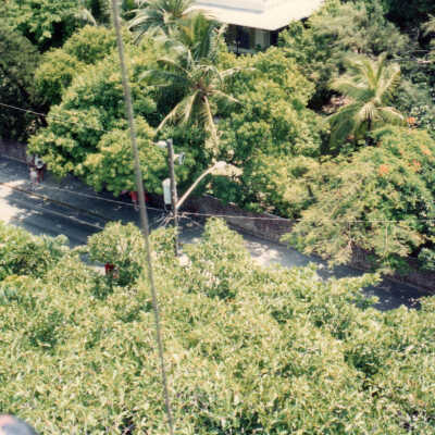 View from the Key West Lighthouse