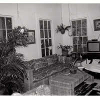 Interior of Liz Birmingham