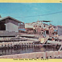 Turtle Kraals, Key West