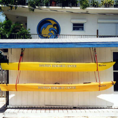 Dolphin Research Center Kayaks