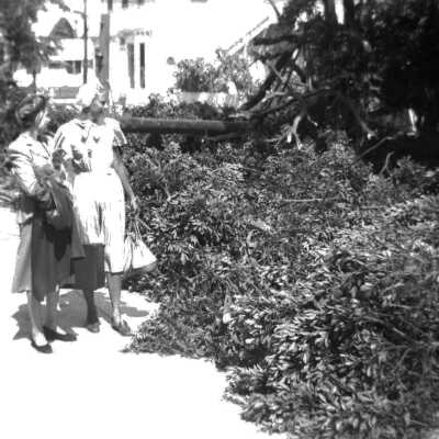 South Florida Hurricane Damage