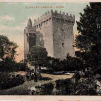 Blarney Castle, Cork