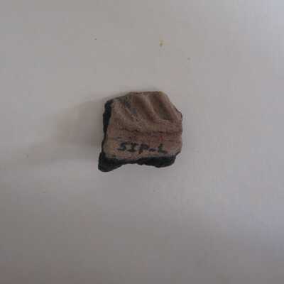 Sherd