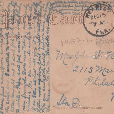 Flowers: © Key West Art & Historical Society