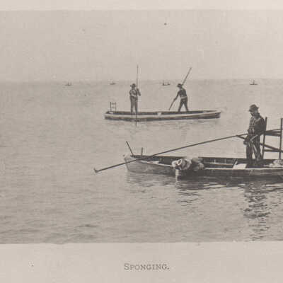 Men in boats harvesting sponges
