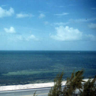 South Roosevelt Boulevard