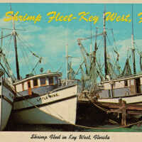 The Shrimp Fleet - Key West, Fla.